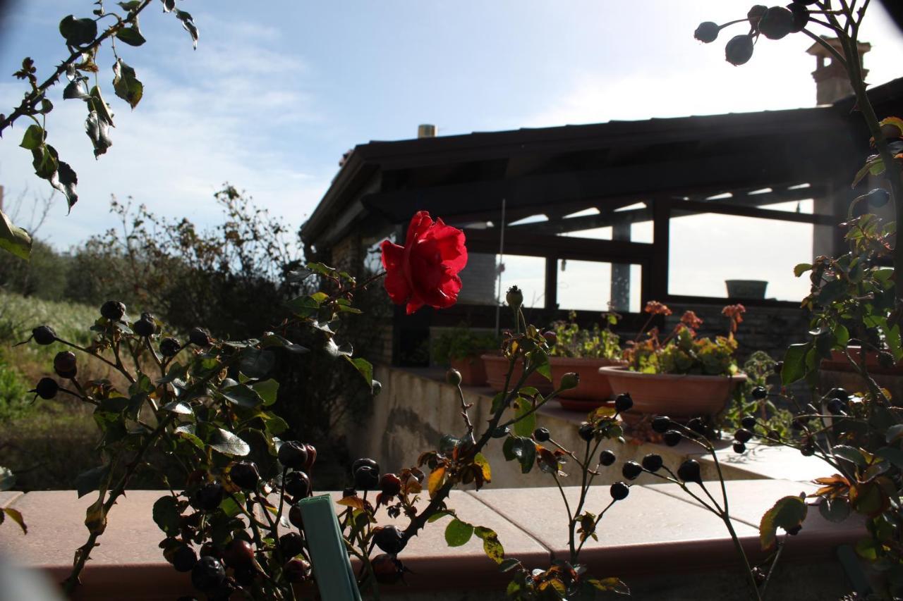 La Casa Di Bia Bed and Breakfast Corleone Exteriör bild