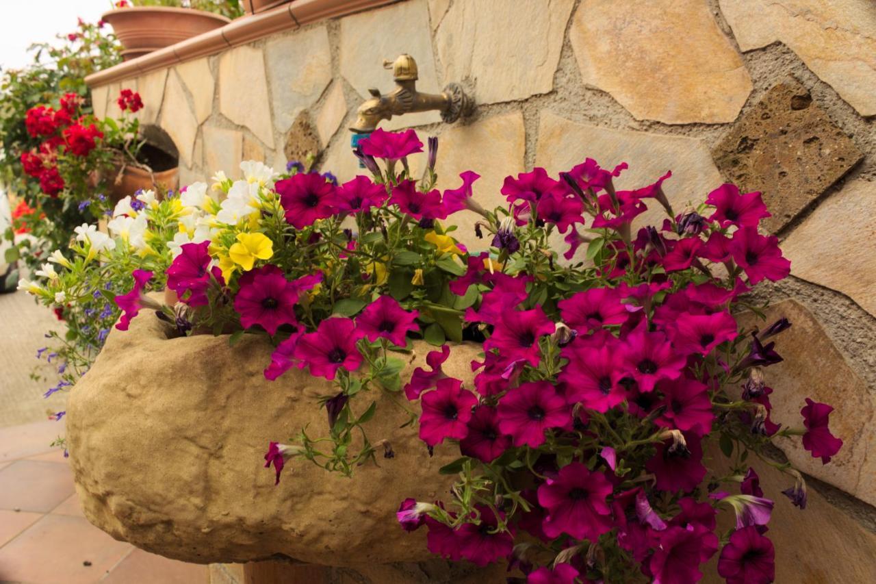 La Casa Di Bia Bed and Breakfast Corleone Exteriör bild